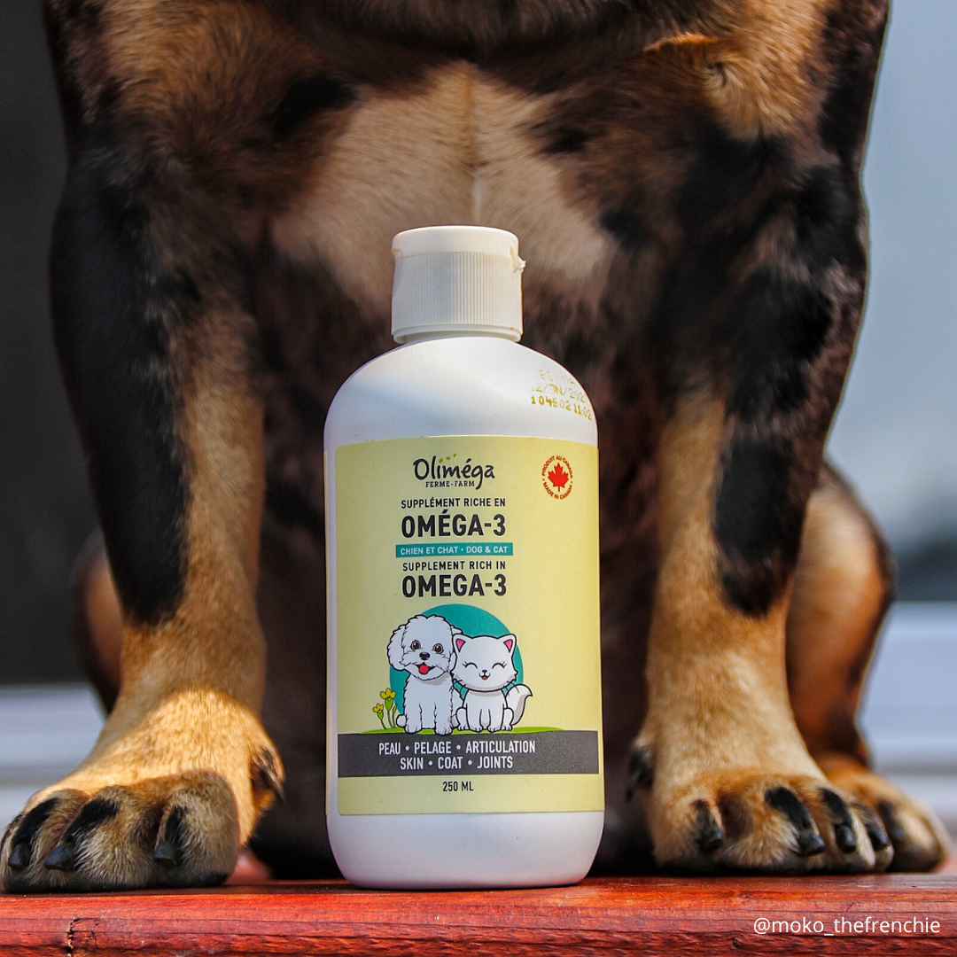 Dog and cat supplement rich in omega-3