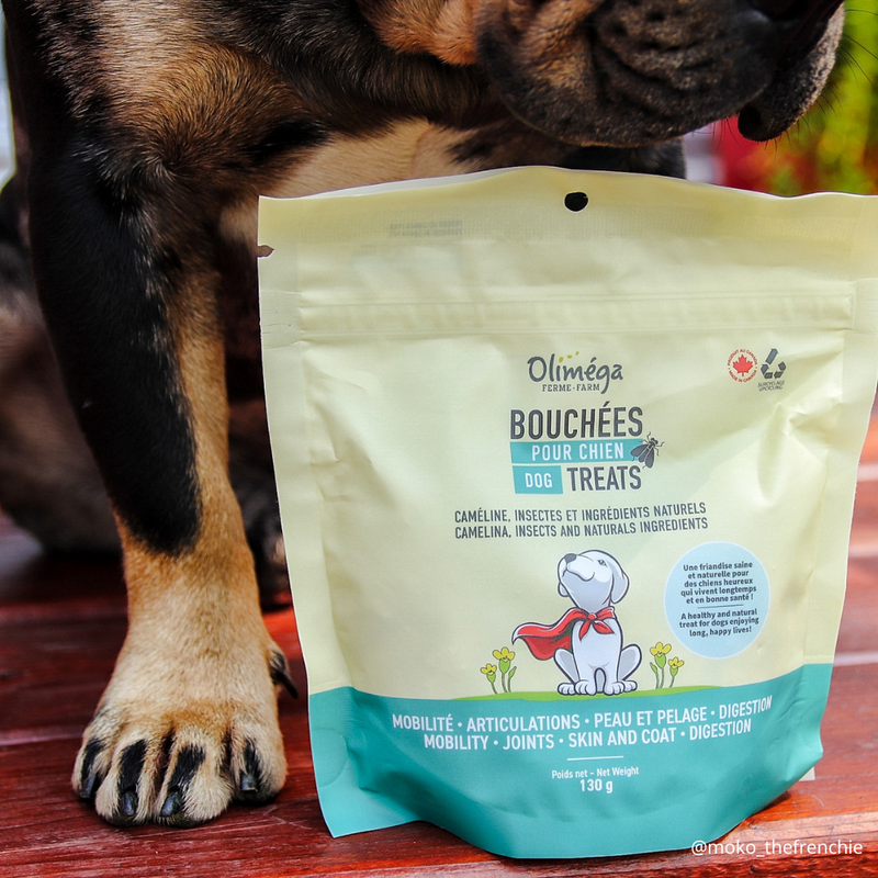 Dog treats made with camelina, insects and natural ingredients
