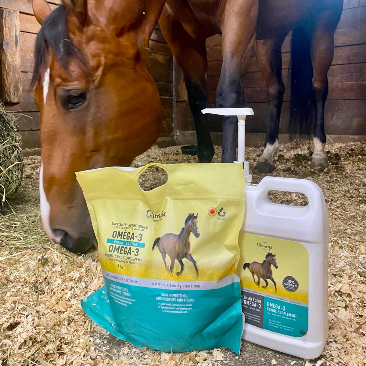 Camelina Meal Omega-3 Nutritional Supplement for Horses