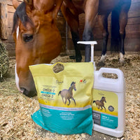 Supplément nutritionnel à base de tourteau de caméline oméga-3 pour chevaux