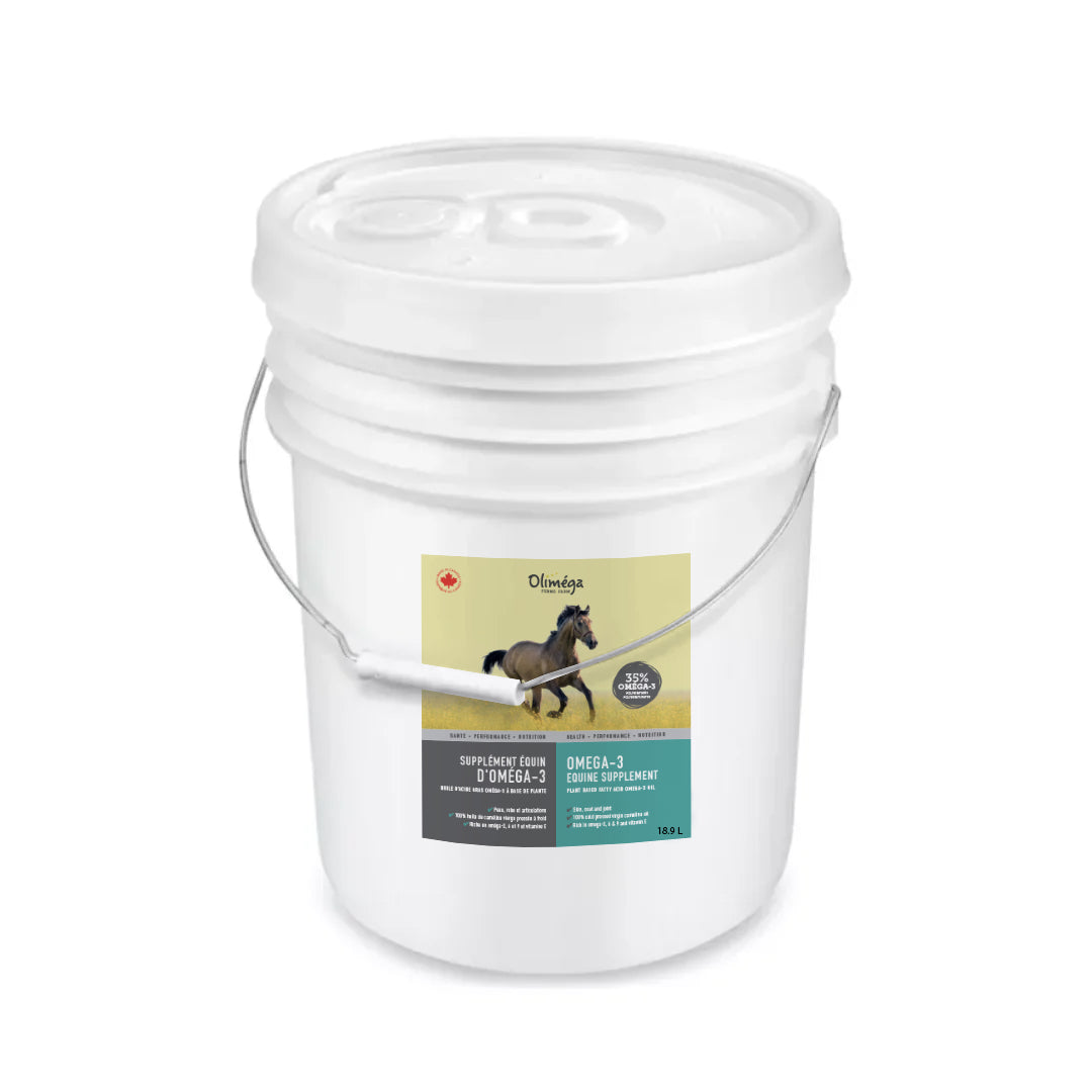 Equine Omega-3 Supplement 