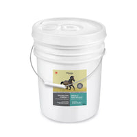 Equine Omega-3 Supplement 