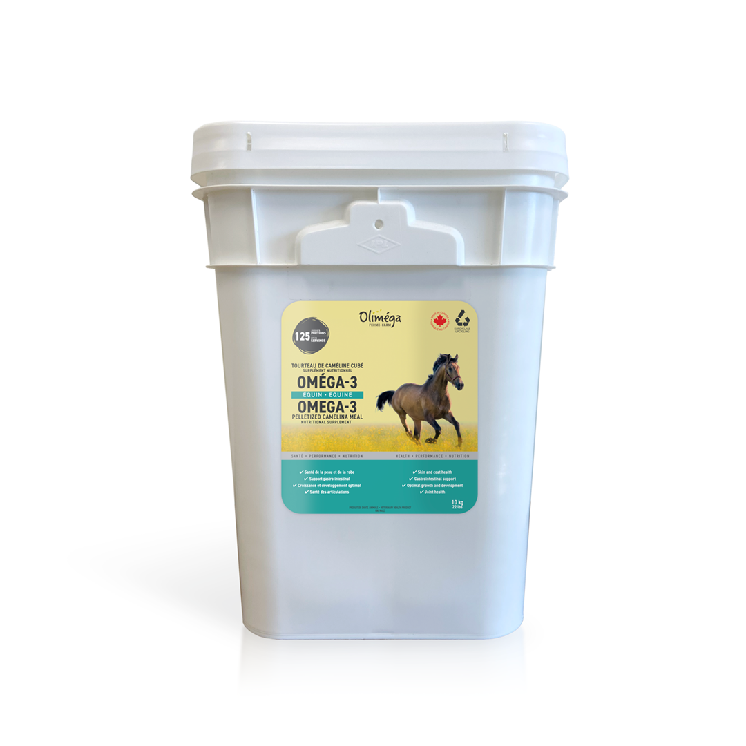 Supplément nutritionnel à base de tourteau de caméline oméga-3 pour chevaux