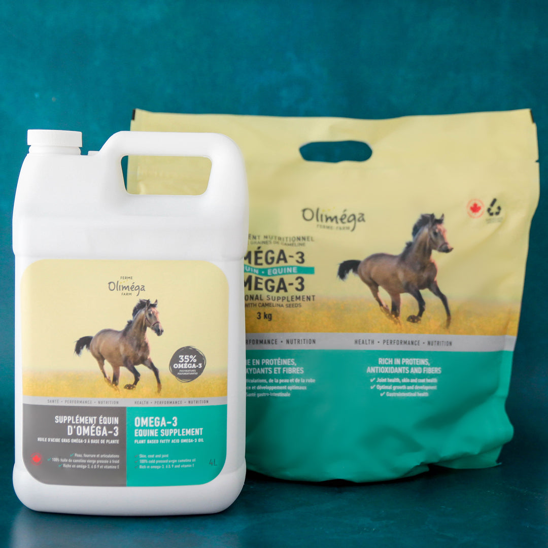 Ensemble pour chevaux