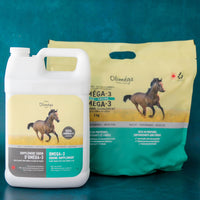 Ensemble pour chevaux