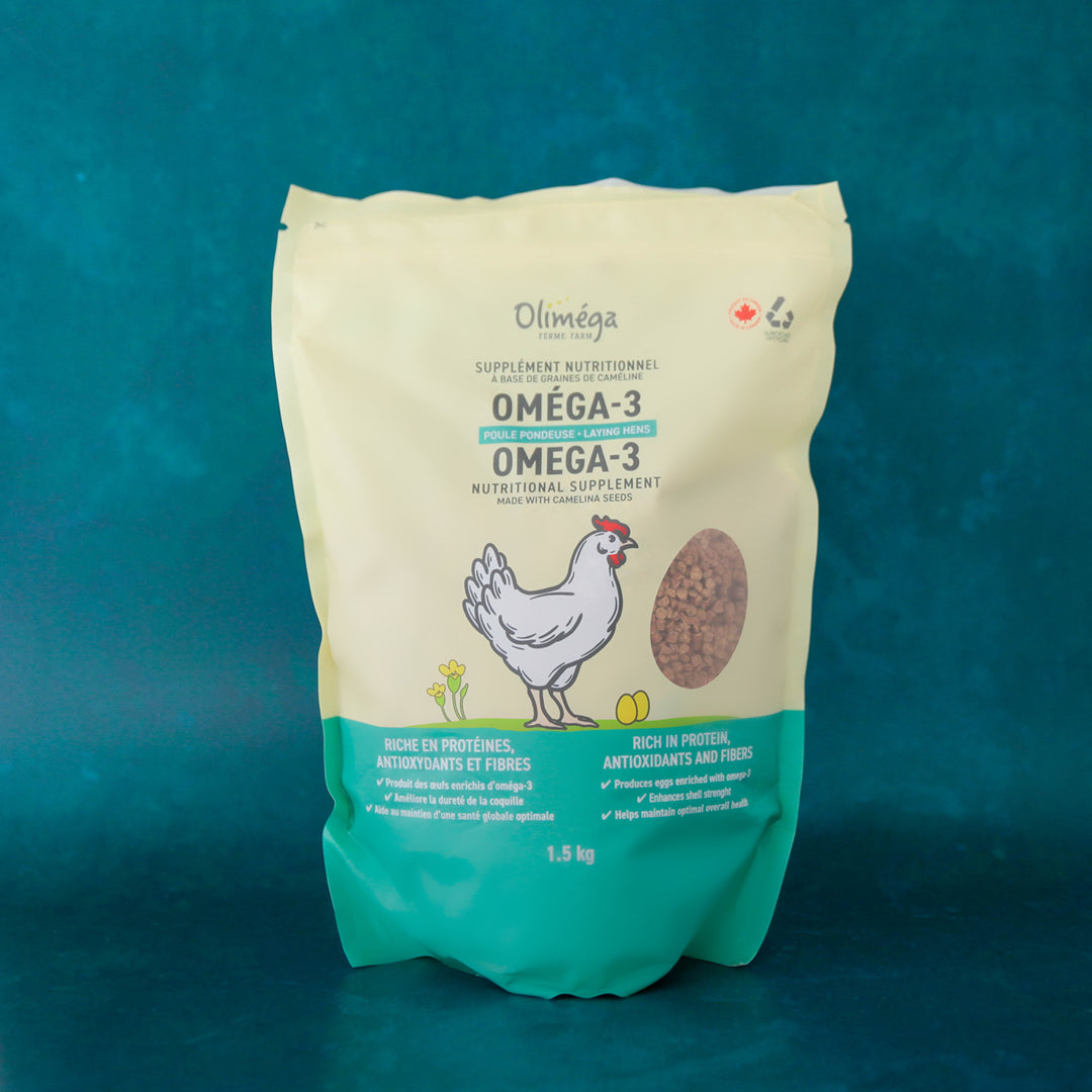 Supplément nutritionnel à base de tourteau de caméline oméga-3 pour poules pondeuses