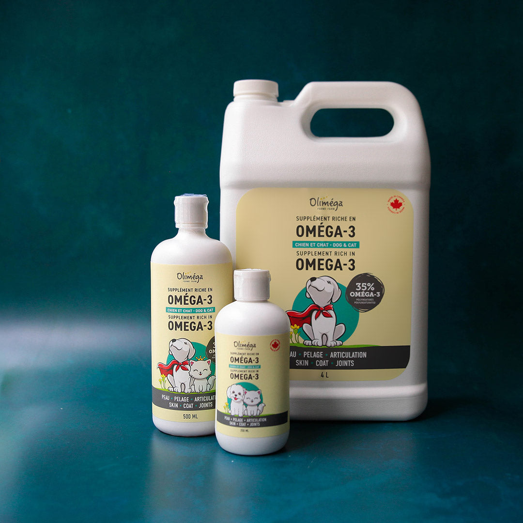 Supplément chien et chat riche en oméga-3