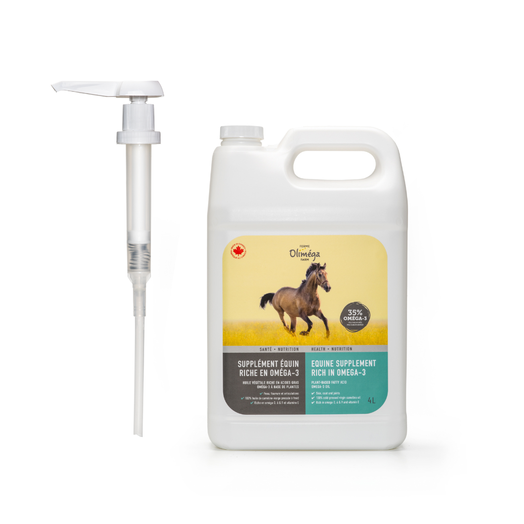 Equine Omega-3 Supplement 