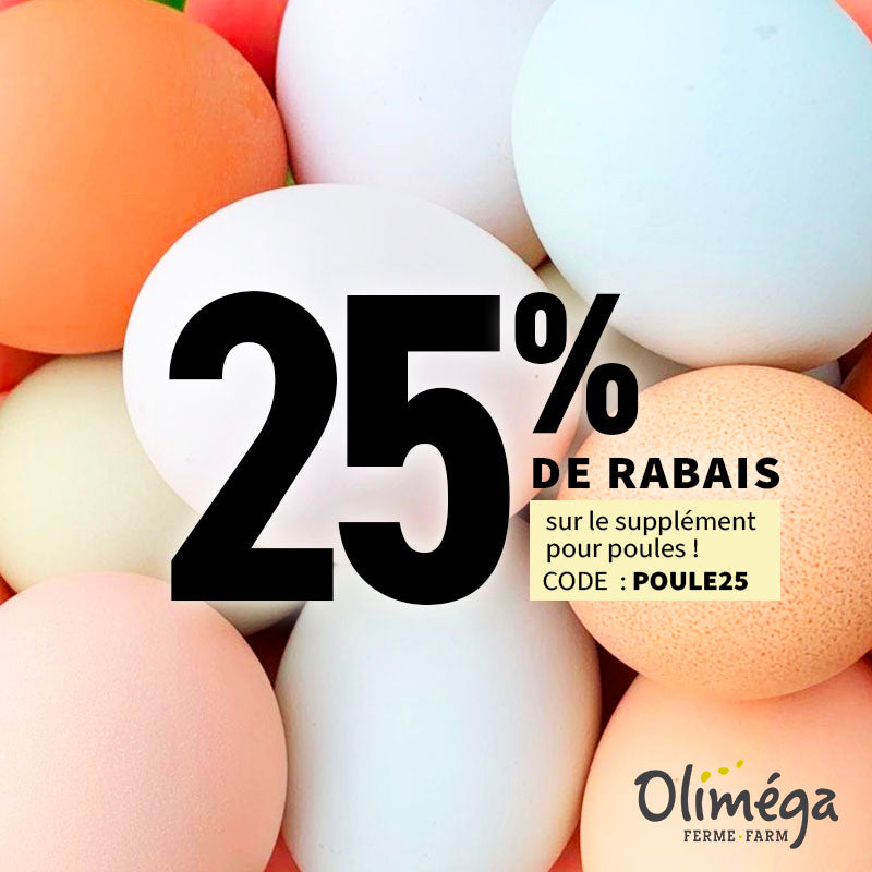 Nutritional supplement omega-3 made with camelina seeds for laying hens