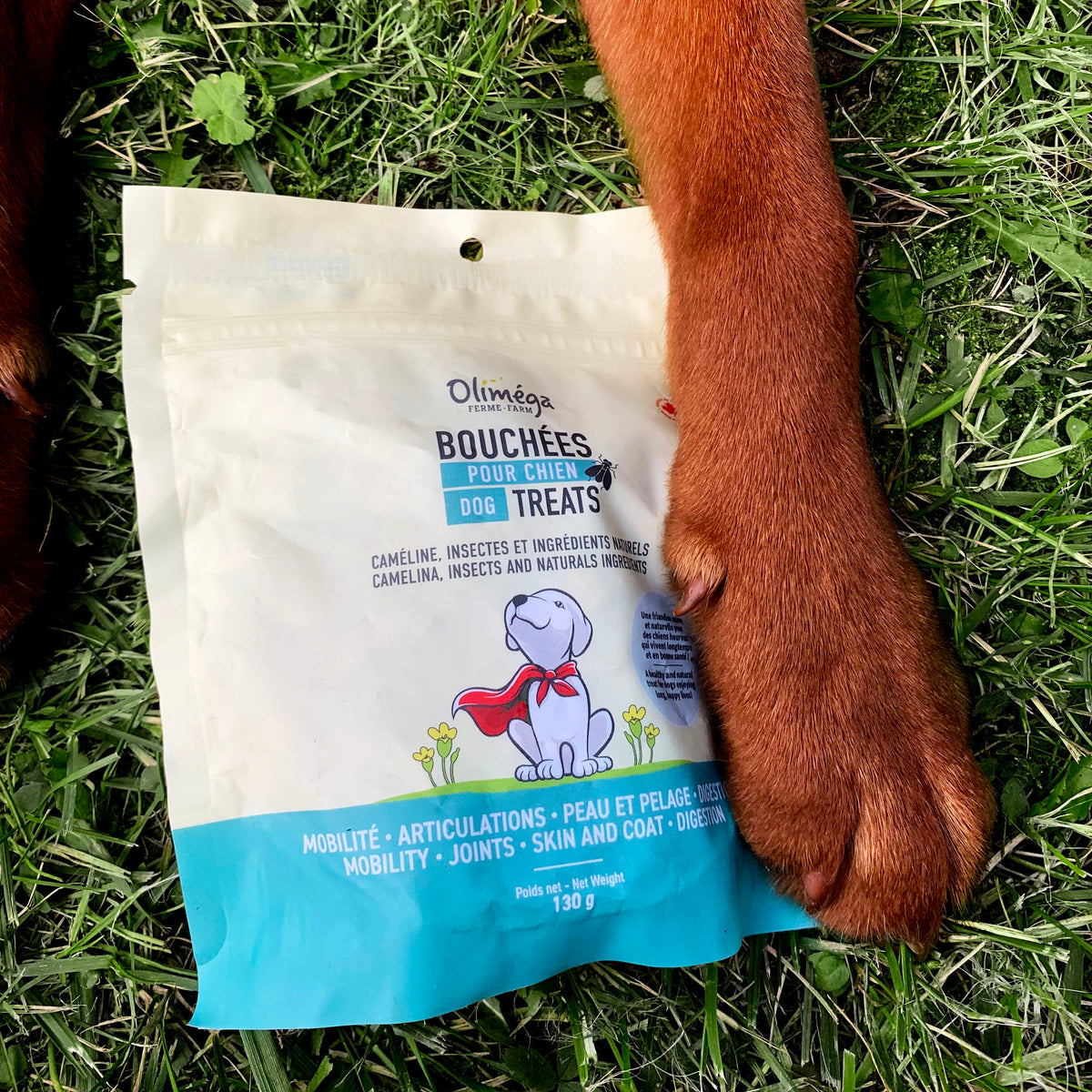 Dog treats made with camelina, insects and natural ingredients